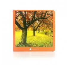 OTOÑO