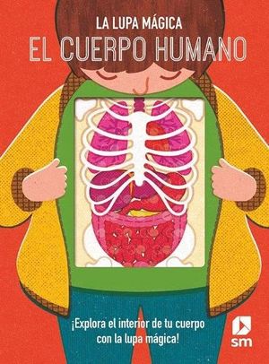 EL CUERPO HUMANO