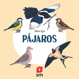 PÁJAROS