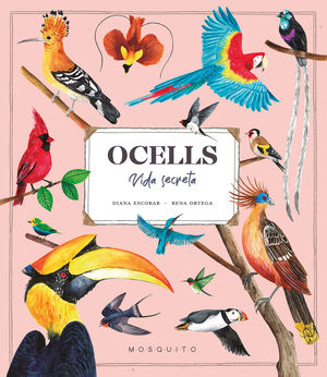 OCELLS. VIDA SECRETA