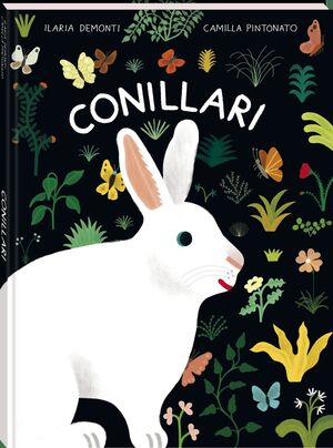 CONILLARI