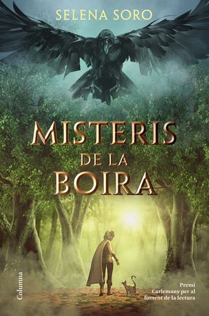 MISTERIS DE LA BOIRA