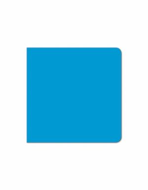 EL LIBRO AZUL